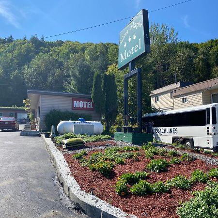 Silver Maple Motel Haliburton Zewnętrze zdjęcie