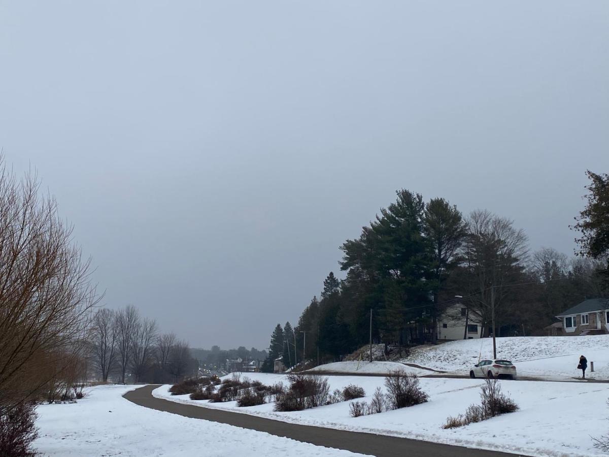 Silver Maple Motel Haliburton Zewnętrze zdjęcie